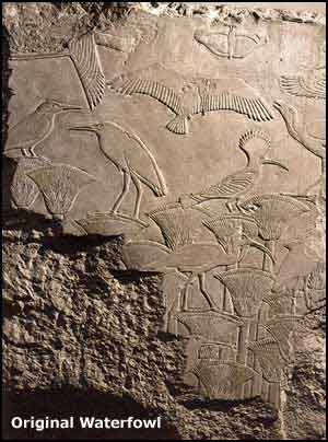 Original Egyptian Waterfowl 